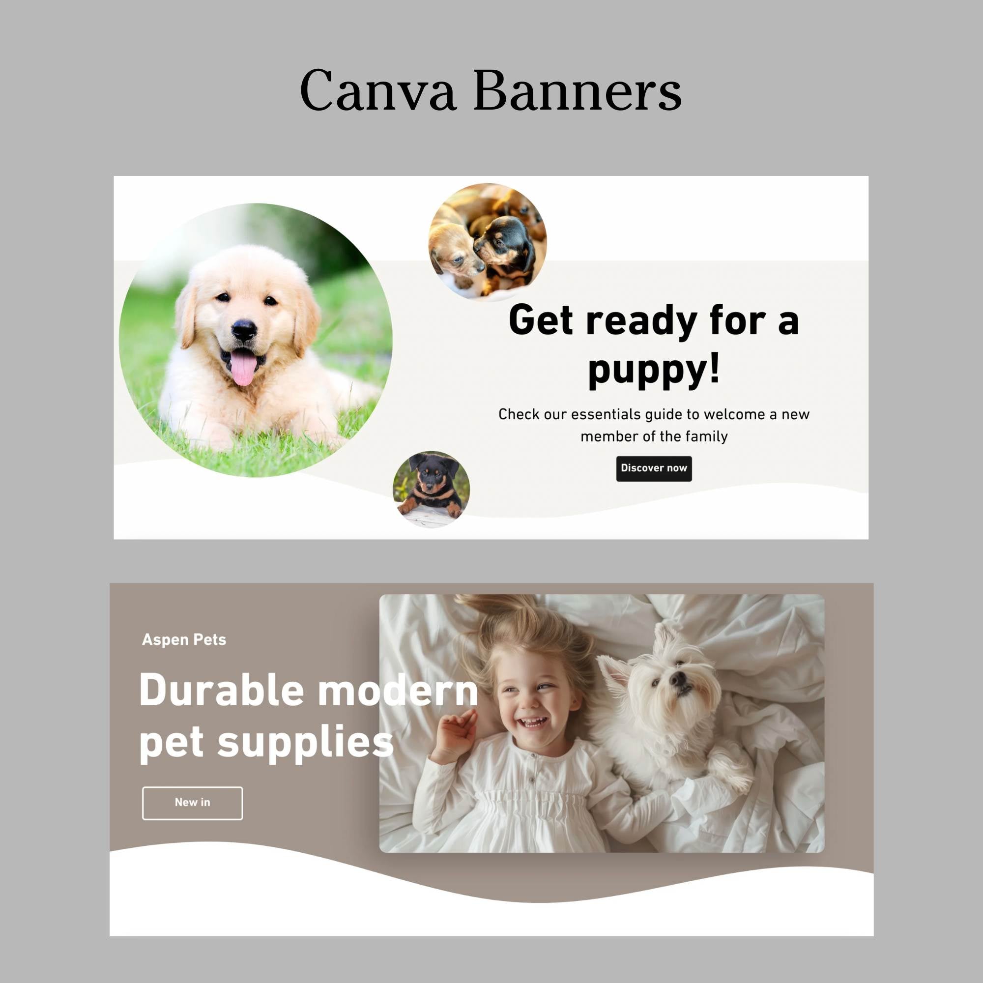 Pet shop modern website template