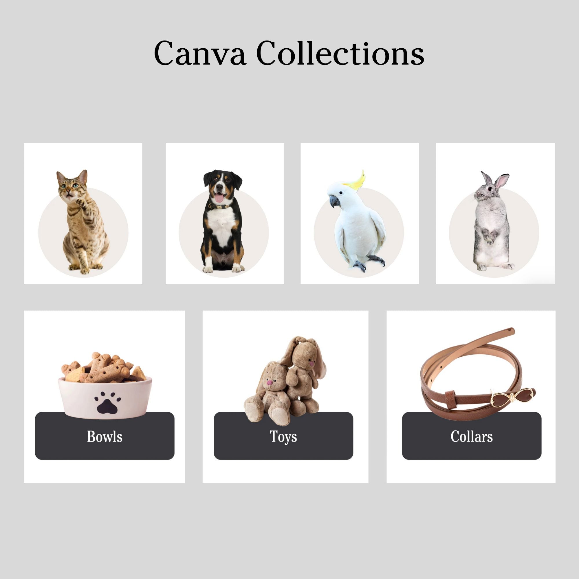 Pet shop website template