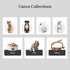 Pet shop website template