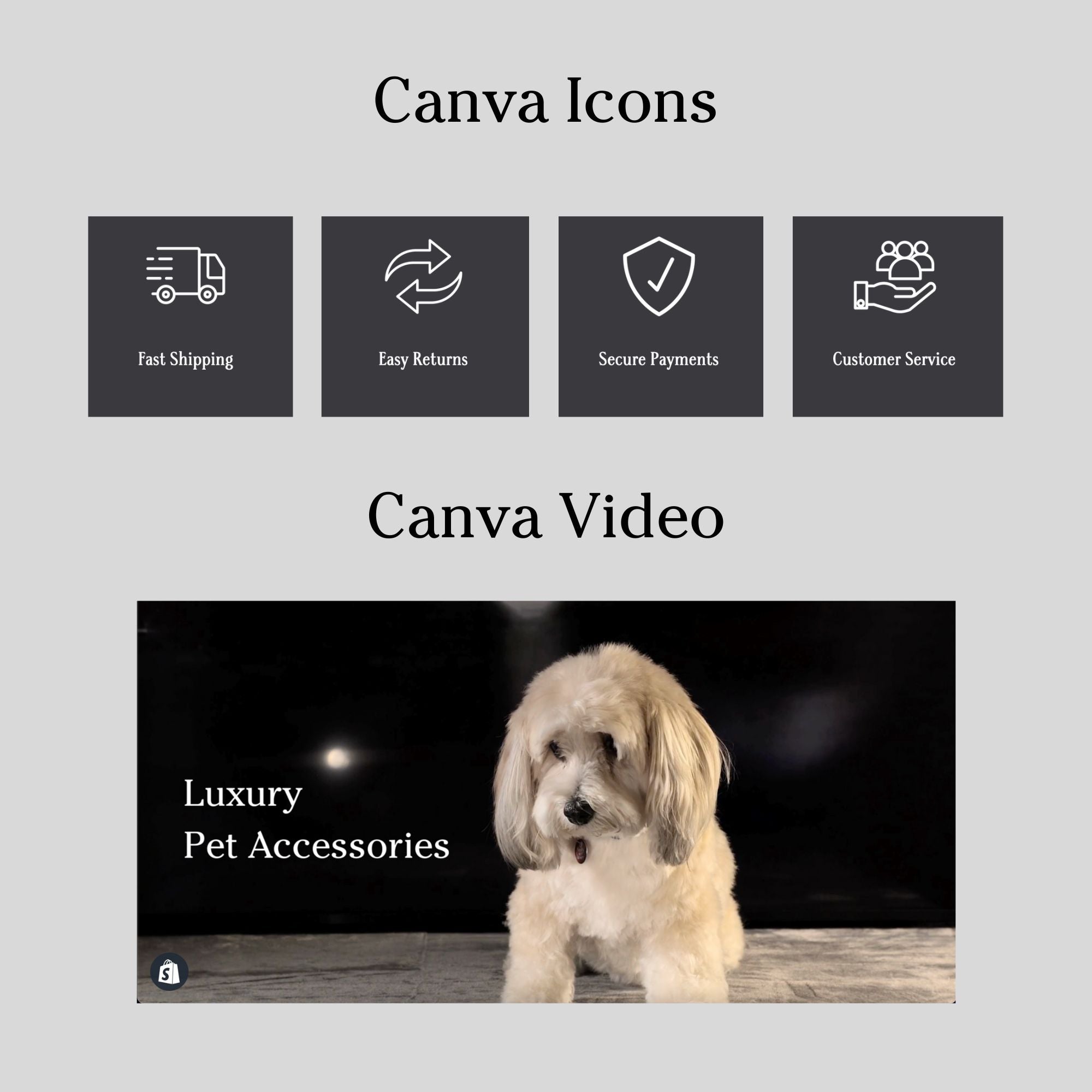 Pet shop website template