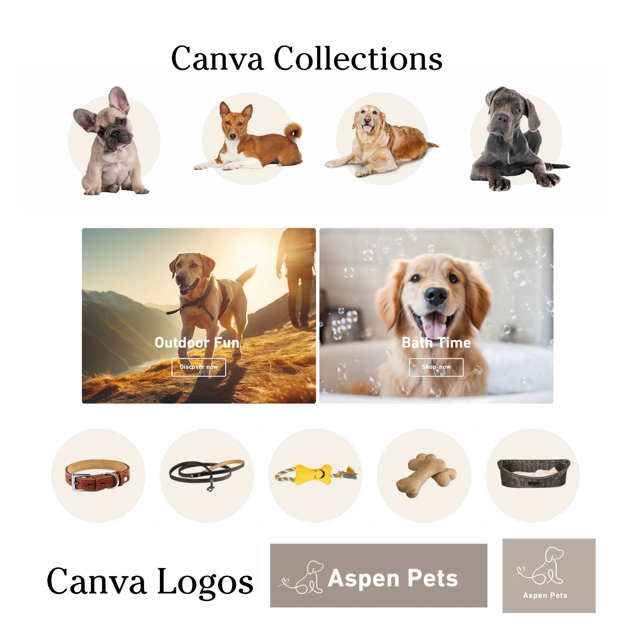 Pet shop modern website template