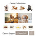 Pet shop modern website template