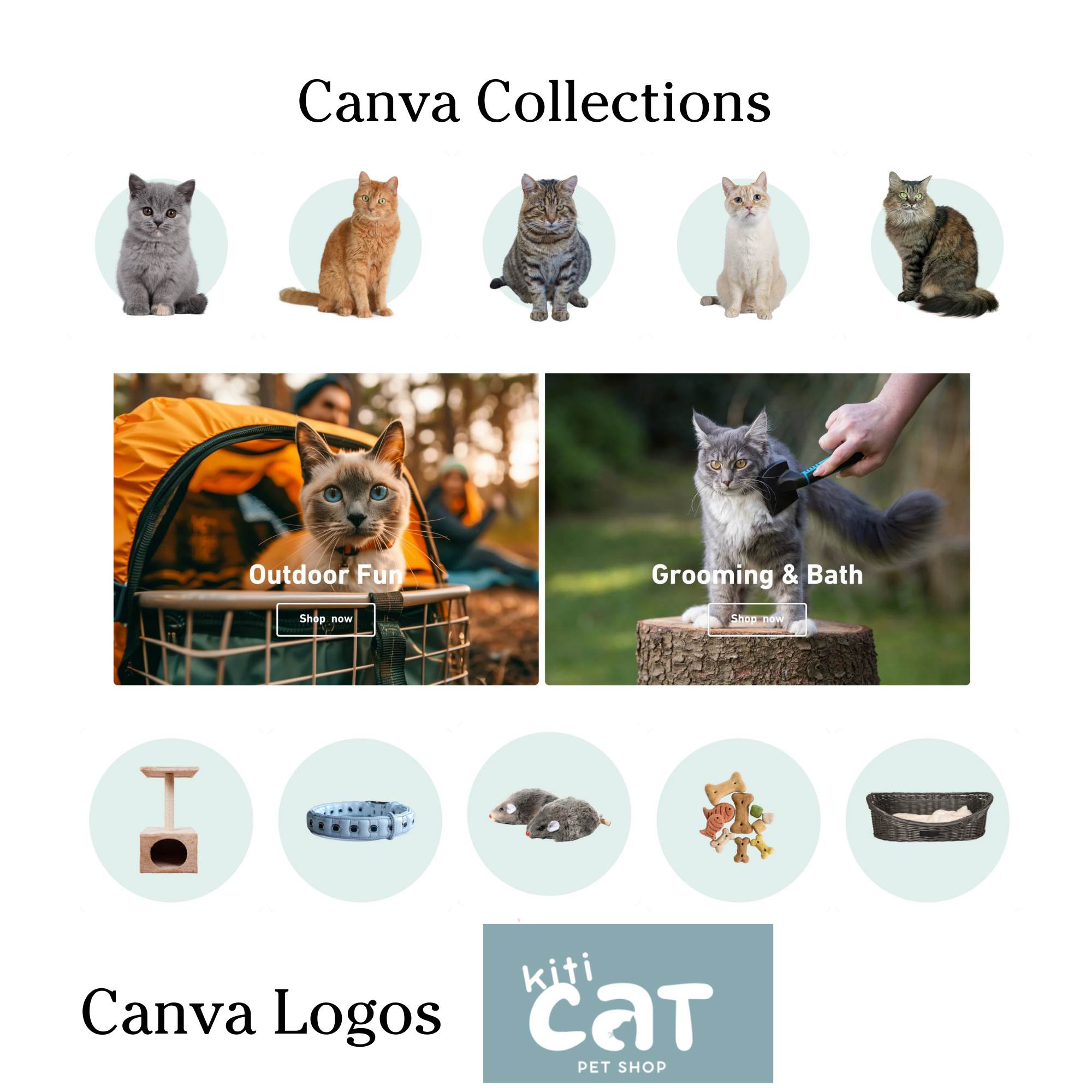 Cat pet shop modern website template