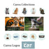 Cat pet shop modern website template