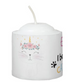 I believe in caticorn candle