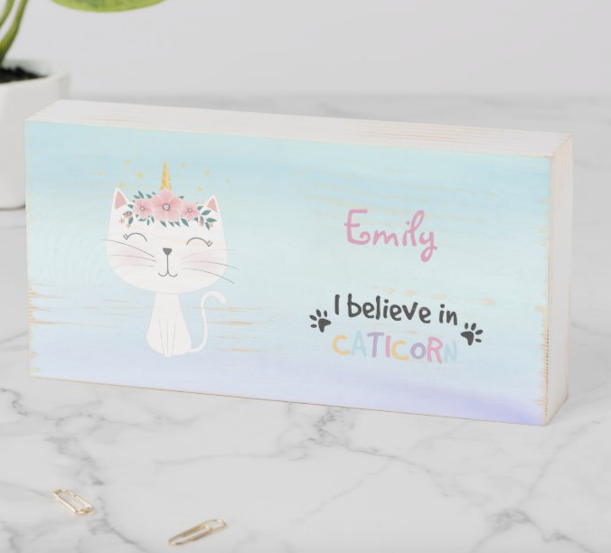 I believe in caticorn box