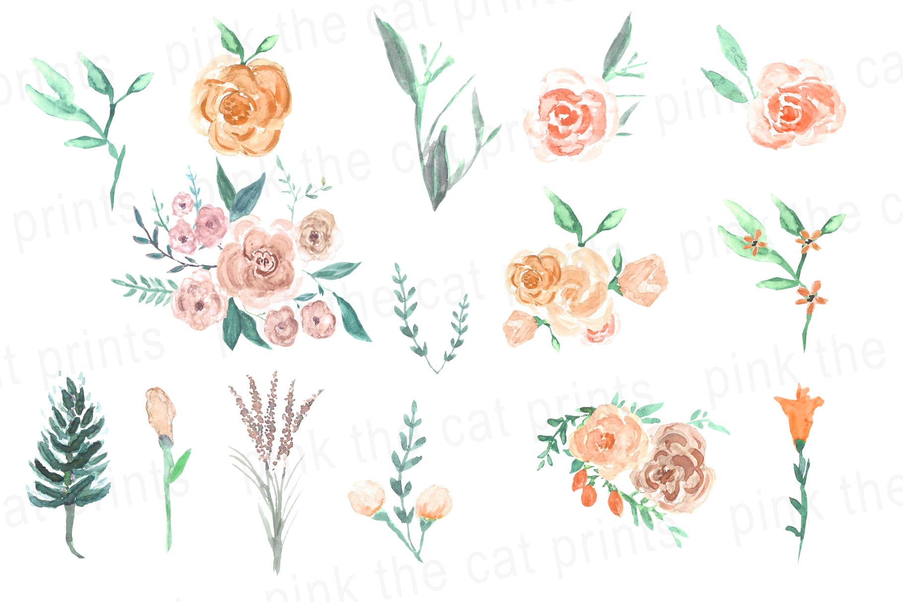 Watercolor Flowers Peach Mint Green Clipart
