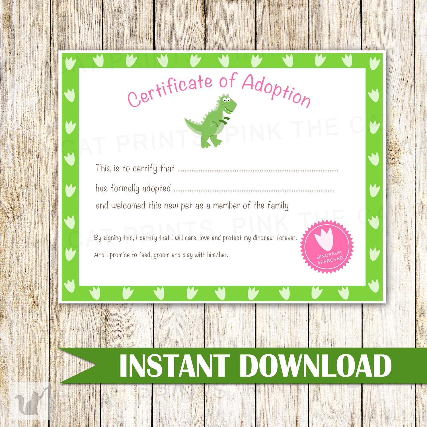 Certificate of Adoption Dinosaur Birthday Party