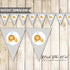 Lion And Cub Baby Shower Banner Boy Blue Printable