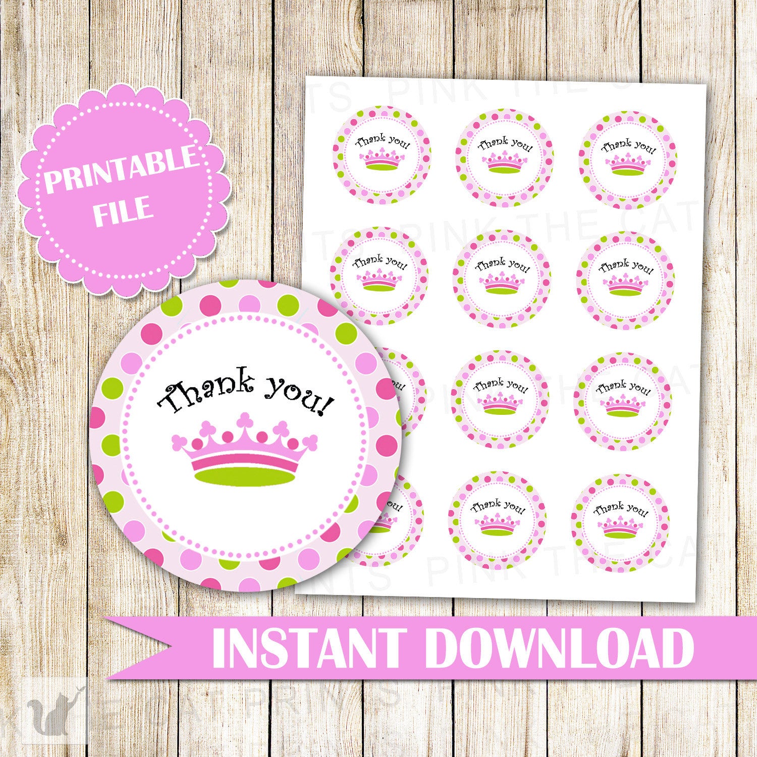 Little Princess Labels or Gift Favor Tags, Baby Girl Shower, Princess Birthday, Princess Baby Shower, Pink Green Labels, INSTANT DOWNLOAD