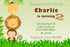 Safari Birthday Invitation Photo Card Boy Blue