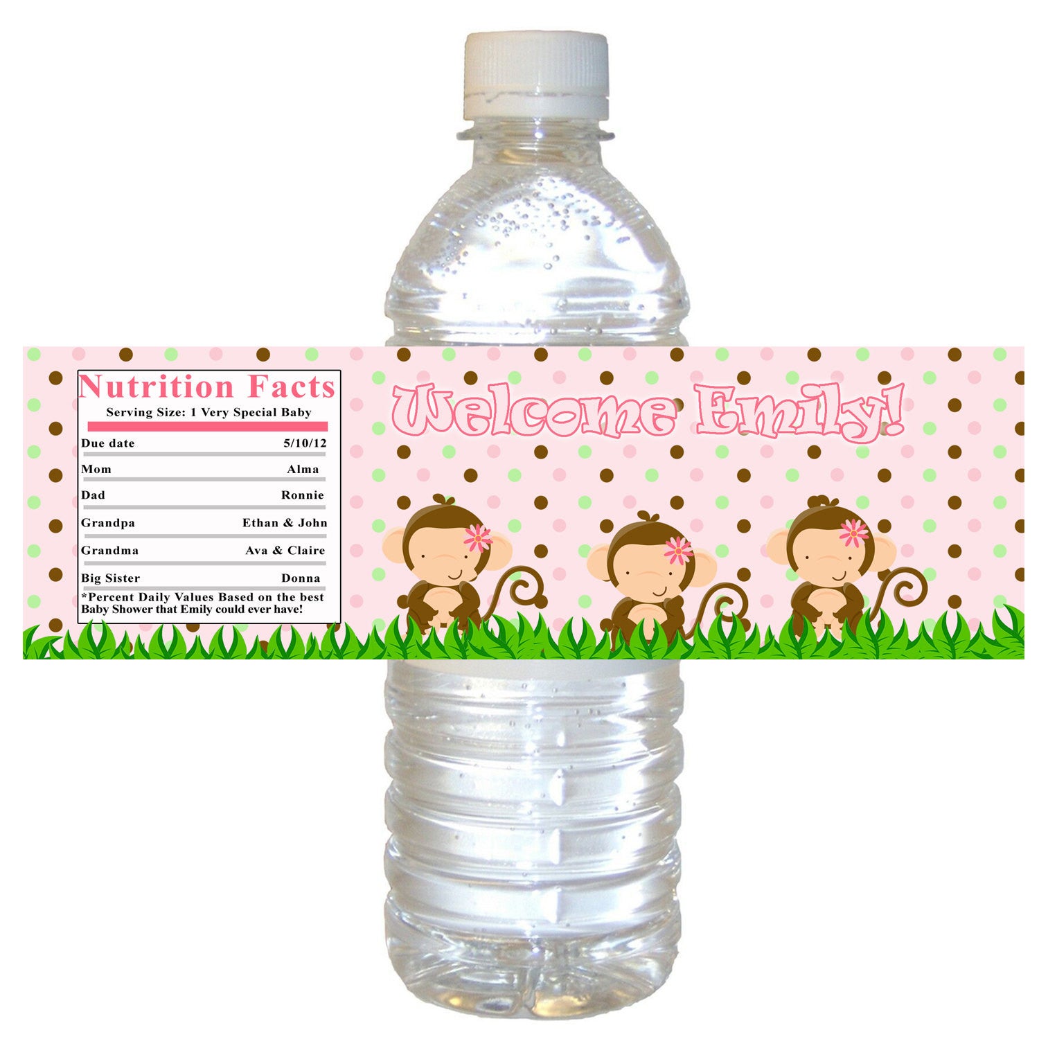 Pink Monkey Bottle Label Birthday Baby Shower