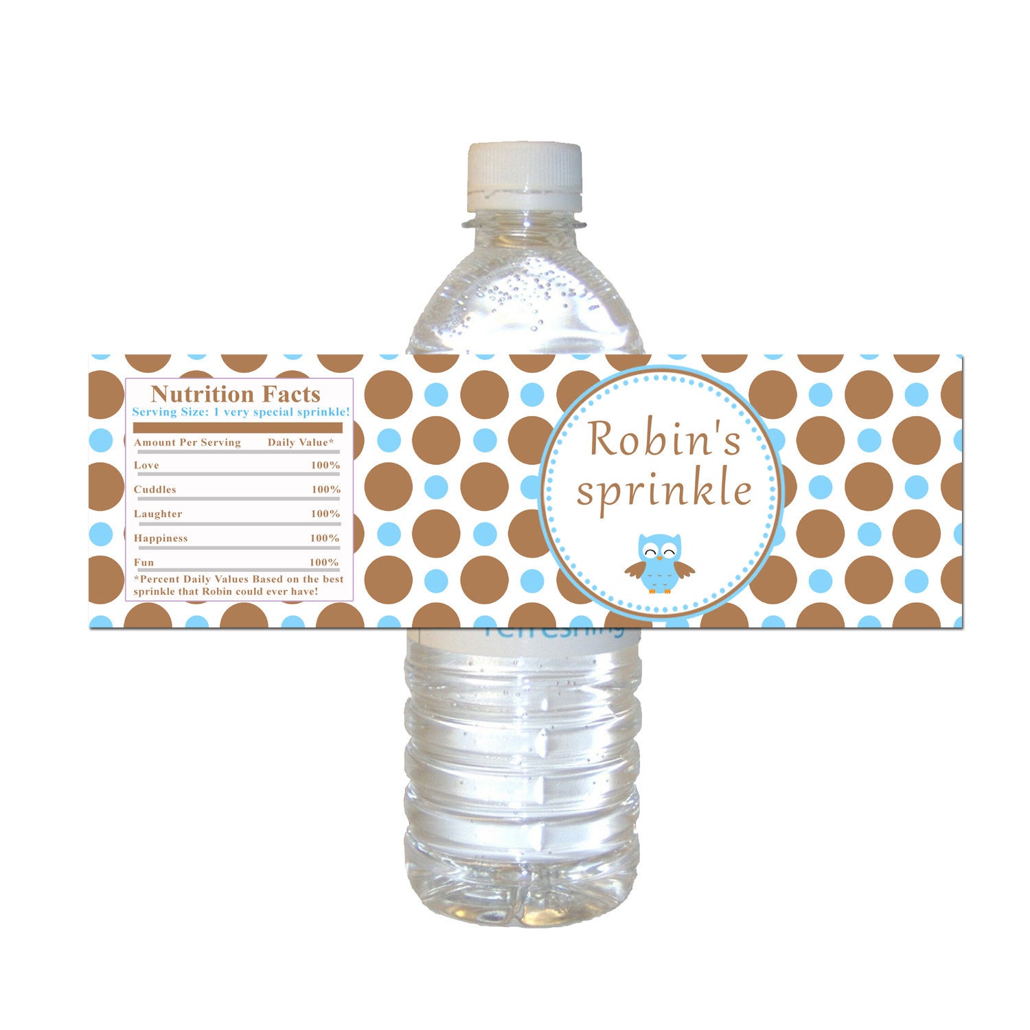 Owl Blue Brown Baby Sprinkle Shower Bottle Labels